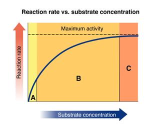 Reaction rate vs substrate concentration graph