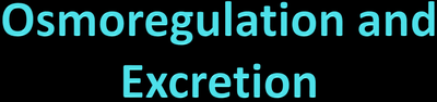 Osmoregulation and Excretion title slide