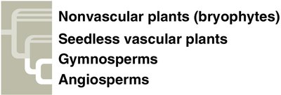 Classification of terrestrial plants