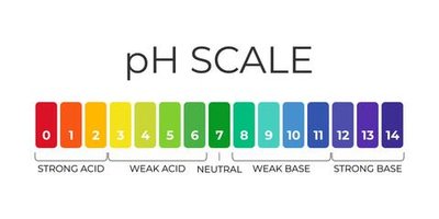 pH scale diagram
