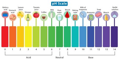 pH scale with common substances