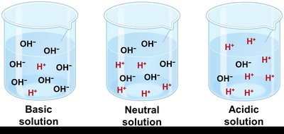 Hydronium and hydroxide ion formation from water