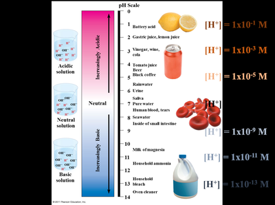 pH scale with examples