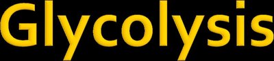 Glycolysis pathway overview