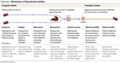 Mechanisms of Reproductive Isolation