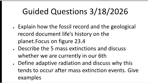 Guided Questions slide with fossil record and mass extinction topics