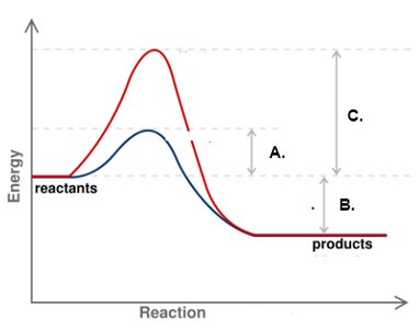 Activation energy with and without enzyme