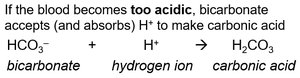 Buffer reaction when blood is too acidic