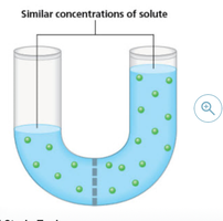 Diagram of a solution