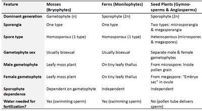 Comparison table of mosses, ferns, and seed plants