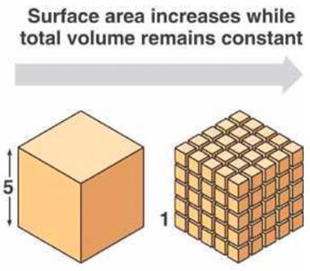 Surface area to volume ratio