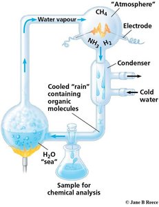 Miller-Urey experiment apparatus