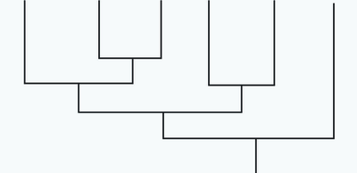 Phylogenetic tree of plants (alternate view)
