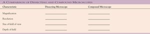 Blank comparison table for dissecting and compound microscopes