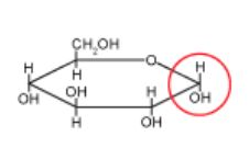 Structure of glucose, a monosaccharide
