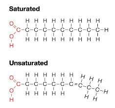 Saturated and unsaturated fatty acid structures