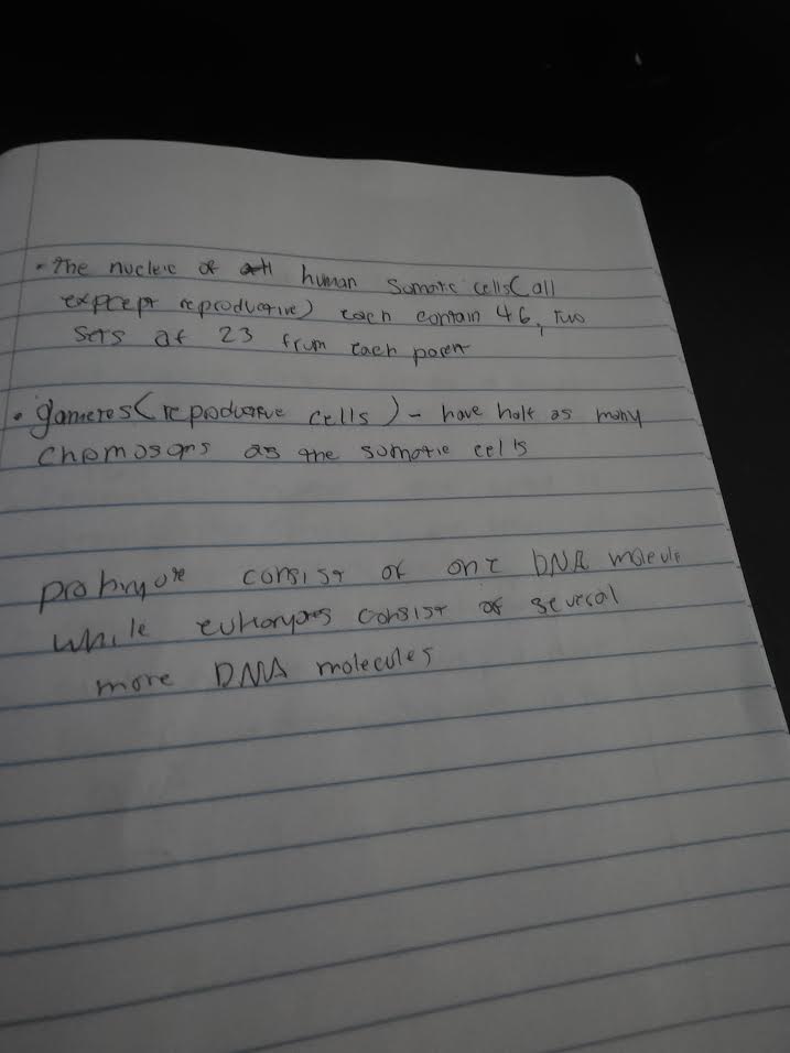 Handwritten notes on chromosomes and DNA in somatic and reproductive cells
