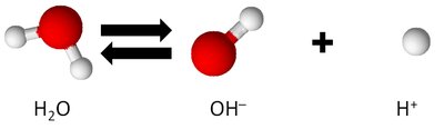 Water dissociation into H+ and OH-