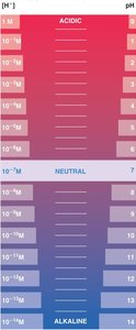 pH scale and concentration of H+