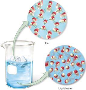 Comparison of hydrogen bonding in ice and liquid water
