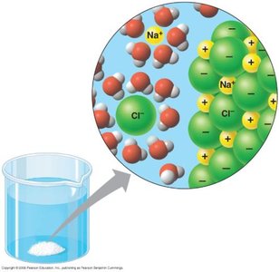Dissolving NaCl in water