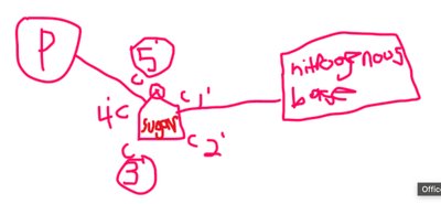 Structure of a nucleotide with labeled phosphate, sugar, and nitrogenous base