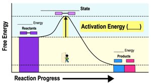 Activation energy profile diagram