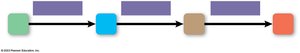 Diagram of a metabolic pathway