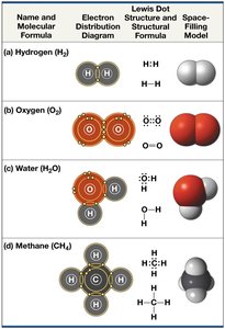 Table comparing covalent bonds in different molecules