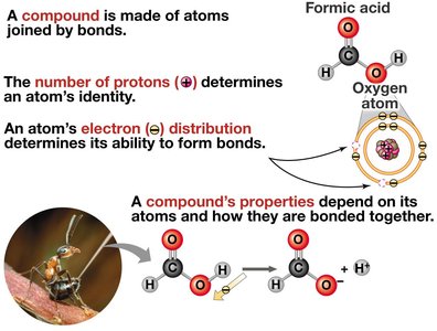 Diagram showing compounds, atoms, and bonds with formic acid example