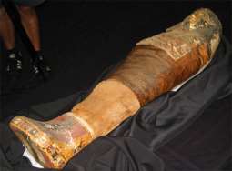 DNA extraction from mummies