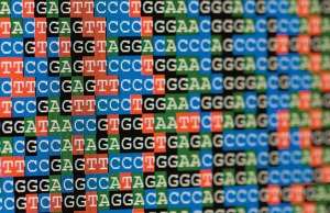 DNA sequencing data
