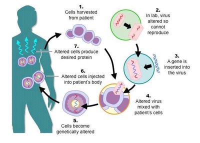 Gene therapy process