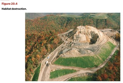 Habitat destruction