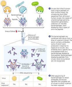 Comprehensive test for past viral encounters