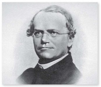 Portrait of Gregor Mendel (face blurred)