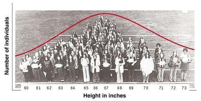 Distribution of height as a quantitative trait