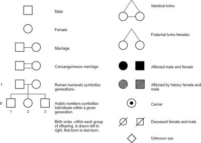 Pedigree symbols and their meanings