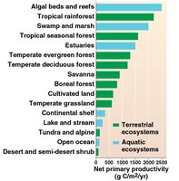 Net primary productivity in various ecosystems