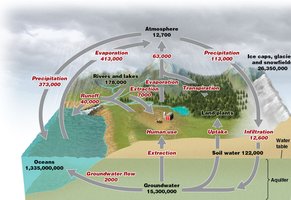 Water cycle diagram