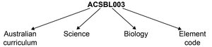 Diagram explaining the Australian curriculum content code ACSBL003