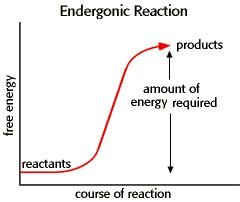 Endergonic reaction graph