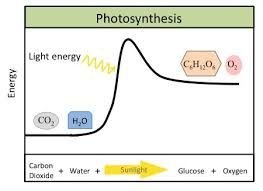 Endergonic reaction: energy required