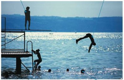 Boy diving: potential to kinetic energy