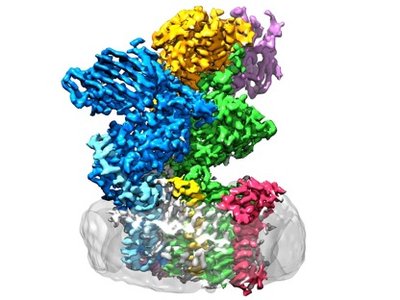 DNA double helix icon