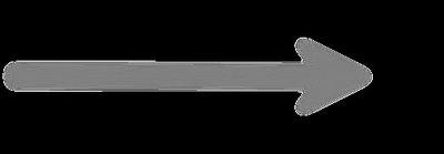 Arrow indicating direction from DNA to RNA to Protein