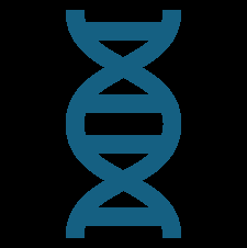 Overview of transcription and translation
