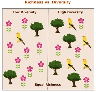 Richness vs. Diversity diagram