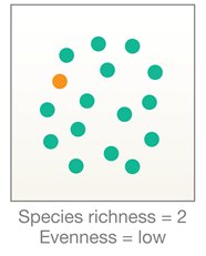 Low species richness and evenness