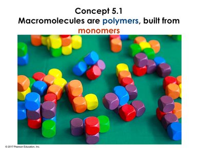 Colored blocks representing monomers and polymers